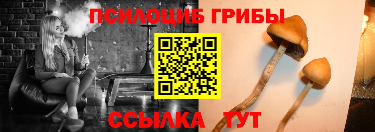 Галлюциногенные грибы Magic Shrooms  Вход с VPN  Дмитров 